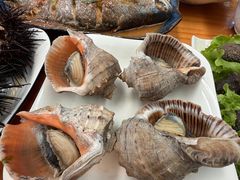 -潮庭·大连海鲜·炭火烧烤·扇贝王(大连店)