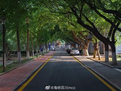 -山东师范大学(千佛山校区)