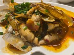 蛏子-华盛丰温州大排档(东三环南路店)