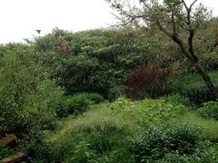 -太湖好灶头土菜馆(石公路店)