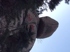 仙桃-崂山仰口游览区