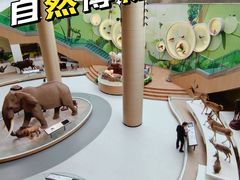 -陕西自然博物馆