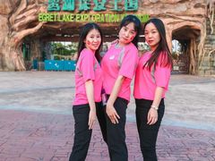 -美的鹭湖探索王国