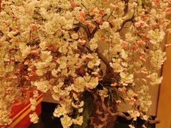 -彩葉·樱花屋日本料理(动物园店)