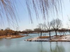 -东郊湿地公园