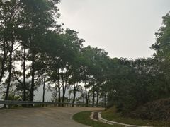 -风云岭森林公园