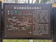 -重庆彩云湖湿地公园