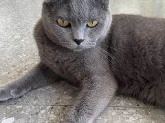 -NOTOOCAFE不二咖啡馆(岩前店)