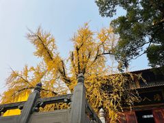 -宝通禅寺