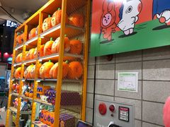 -line friends(明洞旗舰店)