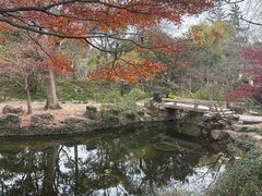 -秋霞圃