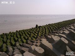 -碧海金沙