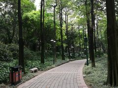 -广州珠江公园