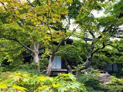 -常寂光寺