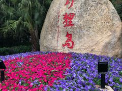 -野狸岛