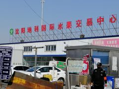 -沈阳市八家子水果批发市场