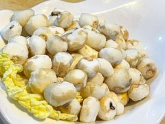 -墨脱石锅椰子鸡•香草鸭•东山羊(大东海店)