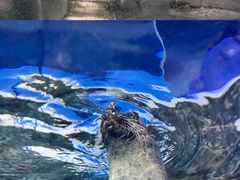 -上海海洋水族馆