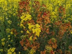 -临平南高铁站(地铁站)