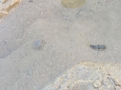 -三姐妹平价海鲜