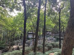 -中国茶叶博物馆(双峰馆区)