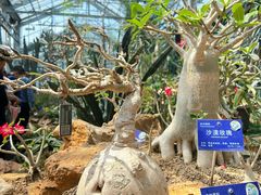 -国家植物园南园