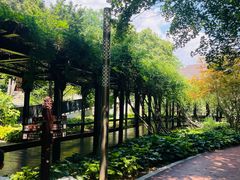 -大连植物园