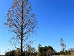 -良渚古城遗址公园