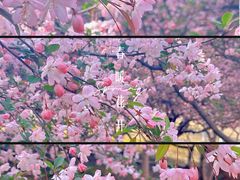 -白塘生态植物园