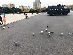 -大连人民广场