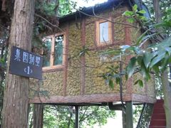 -象山森林公园
