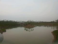 android_upload_pic-瑶湖郊野森林公园