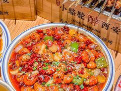 -福苗小骆驼烧烤(莲湖路店)