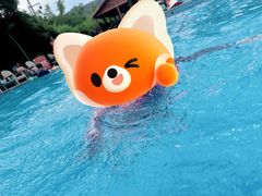 -苏州乐园森林水世界