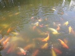 -珠海圆明新园