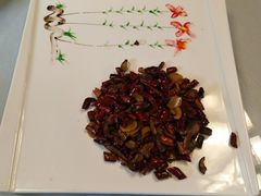 干椒牛肝菌-石屏会馆