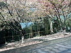 -阳澄湖费尔蒙酒店颐丰阁中餐厅(马鞍山西路店)