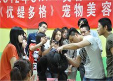 -优缇多格专业宠物美容师培训学校