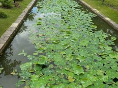 -上海交通大学(闵行校区)