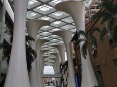 -三亚湾红树林度假世界(木棉酒店)