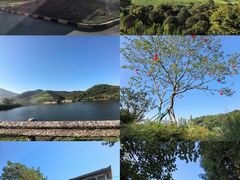 -冶父山国家森林公园