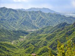 -大岭沟猕猴桃谷风景区