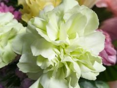 -青岛东方影都融创水世界