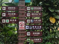 -西双版纳原始森林公园