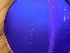 -莉莉海堂HAITANG·烤鸭(国贸商城店)