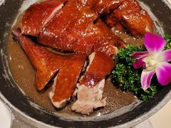 -虾饺妹·酒家(金碧店)