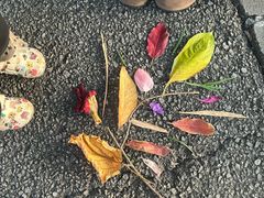 -华南国家植物园-售票处