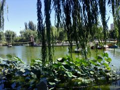 -丰台花园