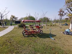 -上海长兴岛郊野公园