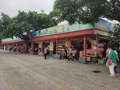 门面-南沙十九涌渔人码头-南门